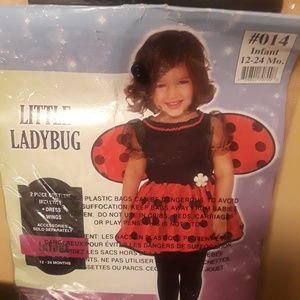 Ladybug costume